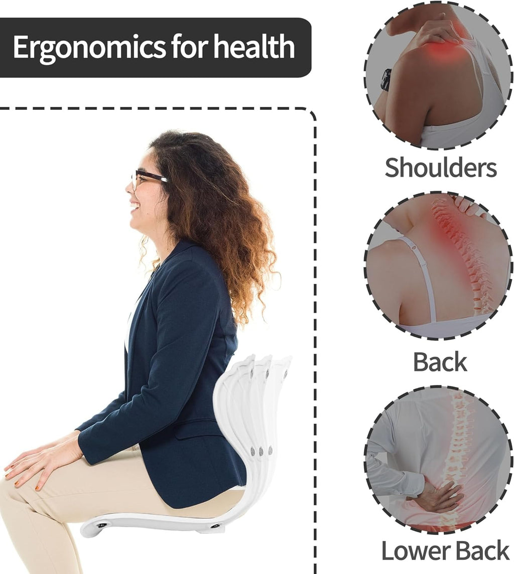 Back Support Office Chair